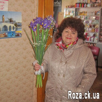 13 irises - Photo 1