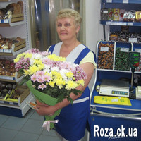 21 multi-colored chrysanthemum - Photo 1