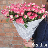 35 pink spray roses - Photo 1