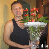 Anthurium - Photo 2