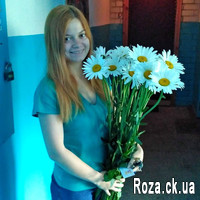 Bouquet of 35 chamomiles - Photo 1
