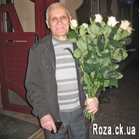 Cream roses in a bouquet - Photo 1