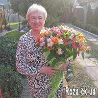 Buy Alstroemerias - Photo 1