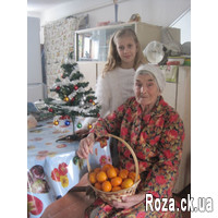 Mandarin paradise - Photo 1