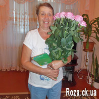 Delicate pink roses - Photo 1