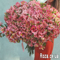A huge bouquet of alstroemerias - Photo 1