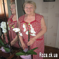 White Orchid - Photo 1