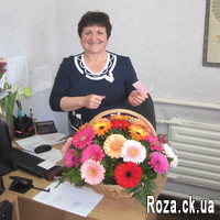 Bright basket of colorful gerberas - Photo 1