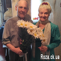 Сhamomiles in a bouquet - Photo 1