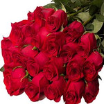Buy imported roses