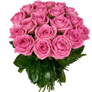 19 pink rose aqua