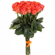 21 coral roses