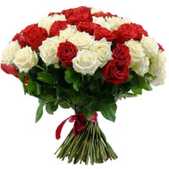 51 red and white rose