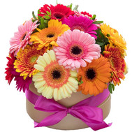 Gerberas in a Box