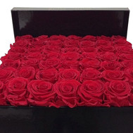 Red roses in a square box