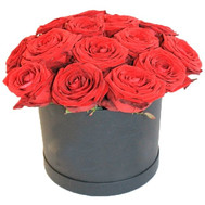 Red roses in a low box