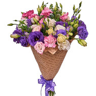 Lysianthus in Kraft
