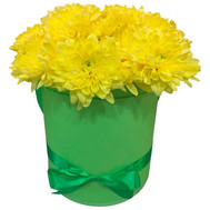Chrysanthemums in a box