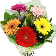 A small bouquet of gerberas