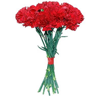 A small bouquet of carnations