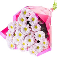 A small bouquet of chamomile chrysanthemums