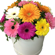 A beautiful bouquet of gerberas in a box