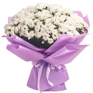 A chic bouquet of 51 white chamomile flowers