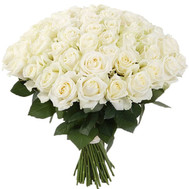 A gorgeous bouquet of white roses