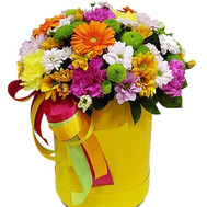 Bright color box