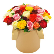 Bright box with roses