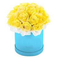 Yellow roses in a round box