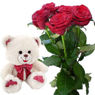 5 roses and little Bear