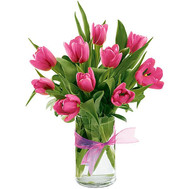 11 pink tulips