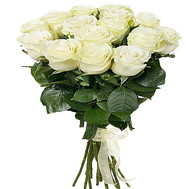 15 white imported roses
