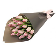 19 pink tulips in paper