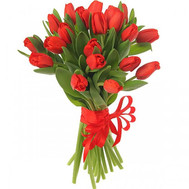 25 red tulips
