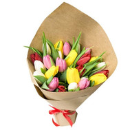 25 tulips in paper