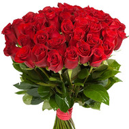51 red imported rose