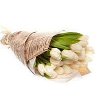 Bouquet of white tulips in paper