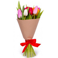 Bouquet of 11 Tulips