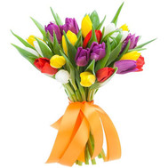 Bouquet of 25 Tulips