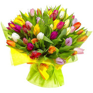 Bouquet of multi-colored tulips