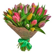 Wonderful bouquet of tulips
