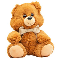 A wonderful little bear cub