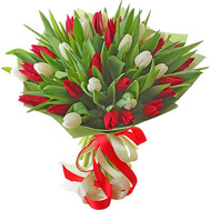 Harmonious bouquet of tulips