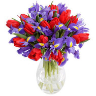 Irises and red tulips