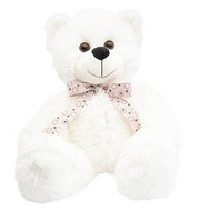 Beautiful White Bear