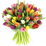 Bouquet of multi-colored tulips