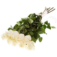 Delicate imported roses