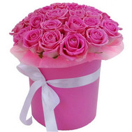 Delicate pink roses in a box
